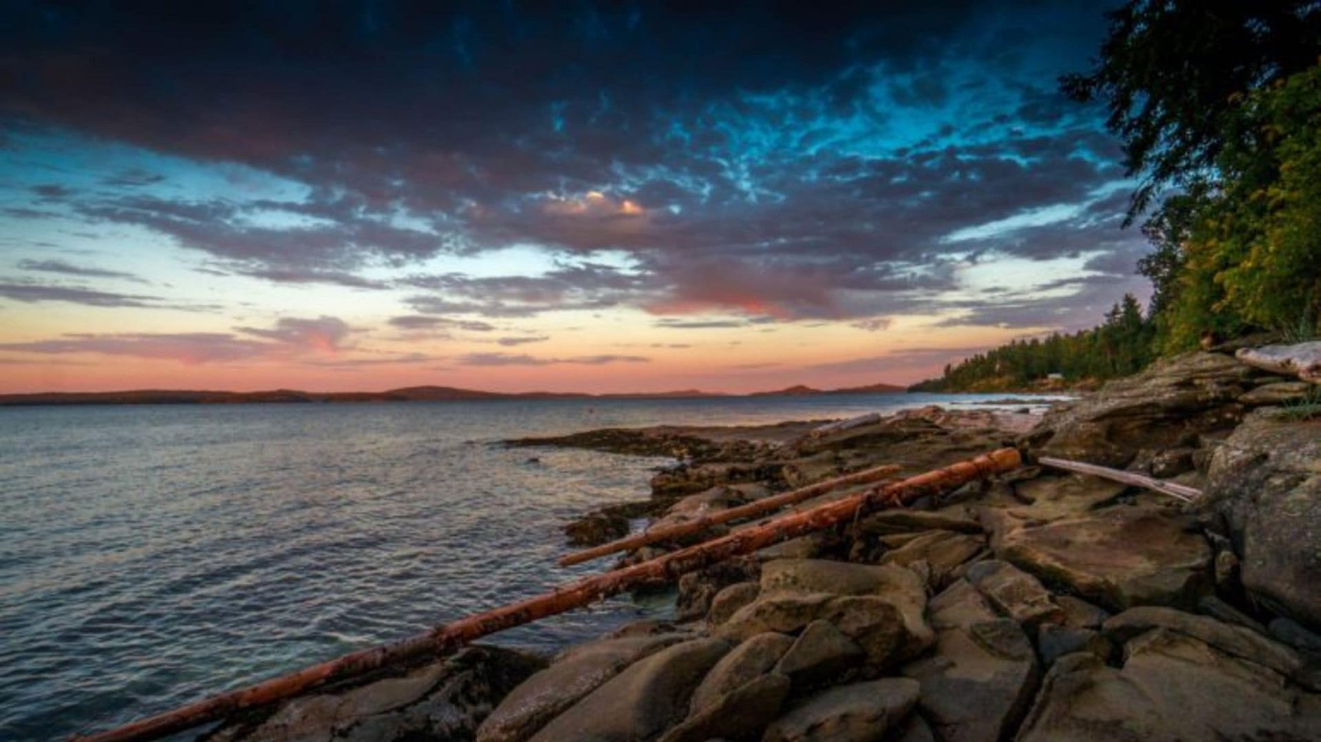 Vancouver Island rocky coastline at sunset with driftwood, calm ocean, and forested shoreline near Nanaimo